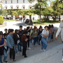 Alternanza scuola - lavoro liceo Tedone