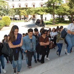 Alternanza scuola - lavoro liceo Tedone