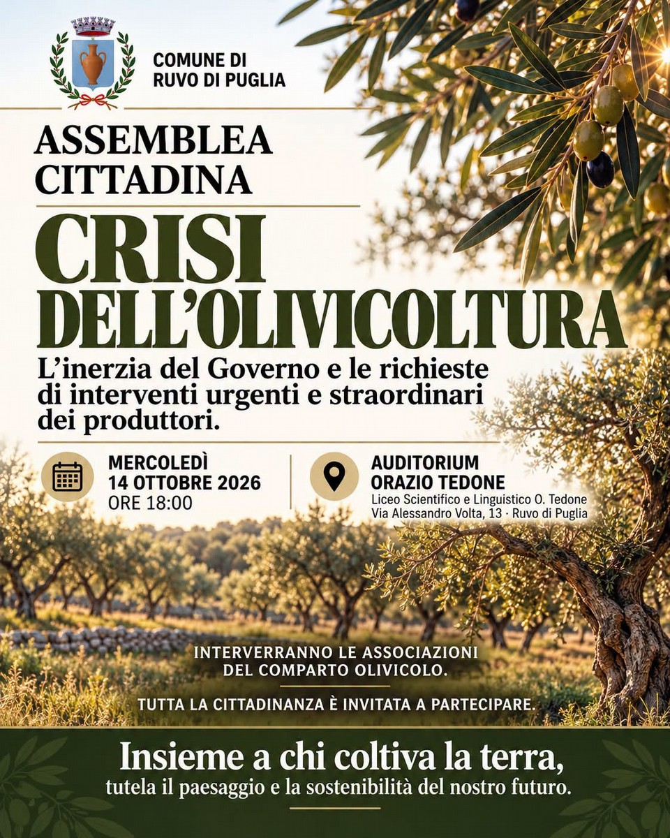 crisi dell’olivicoltura