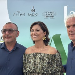 Aperitivo tra gli ulivi