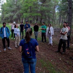 Progetto Monitor 2023