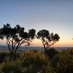 Festa della Musica Il risveglio di venerd giugno