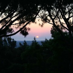 Festa della Musica Il risveglio di venerd giugno