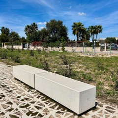 Forestazione urbana