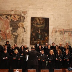 Mons. Nicola Girasoli