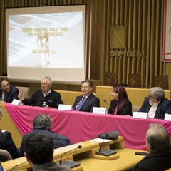 Molfetta prepara la tappa del Giro, e c'è anche Luca Mazzone / FOTO