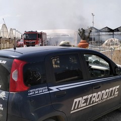 metronotte