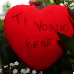 Il cuore di Carla continua a battere