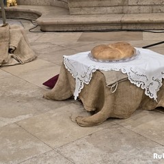 Perfetta Letizia "Restate qui"