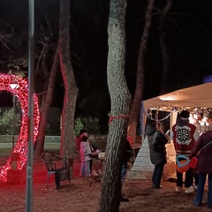 Alla Ricerca di Babbo Natale