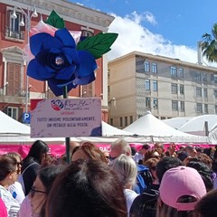 Race for the cure