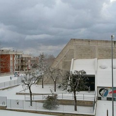 ruvo neve