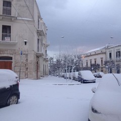 neve