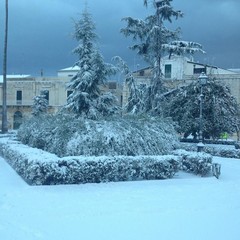 neve