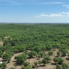 Ruvo di Puglia su Linea Verde Estate