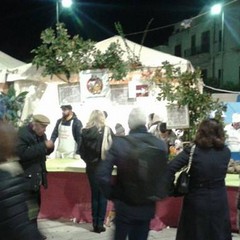 sagra fungo cardoncello