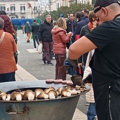 Sagra del Cardoncello