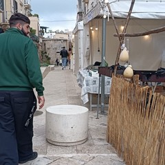 Sagra del Cardoncello