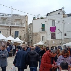 Sagra del Cardoncello