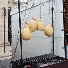 Sagra del Cardoncello