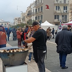 Sagra del Cardoncello