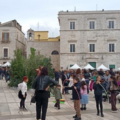 Sagra del Cardoncello