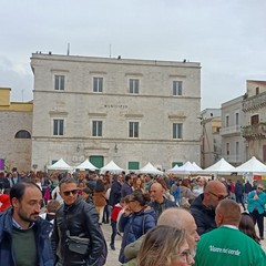 Sagra del Cardoncello