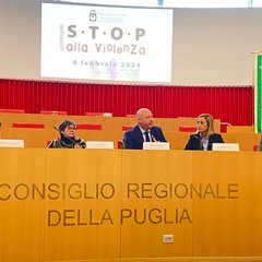 "Stop alla violenza" seminario moderato dall'avv. Mimma Gattulli