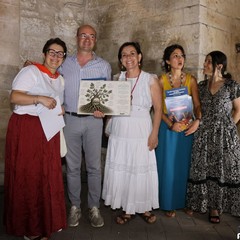 Tavole a Festa