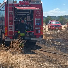 Incendio di sterpaglie vicino a un casale a Ruvo di Puglia