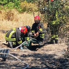 Incendio di sterpaglie vicino a un casale a Ruvo di Puglia
