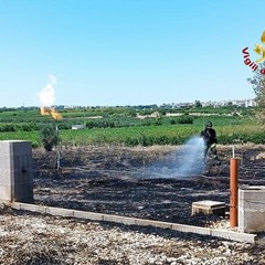 Incendio di sterpaglie vicino a un casale a Ruvo di Puglia