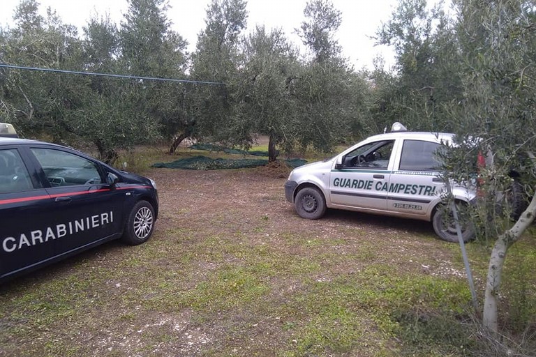 L'intervento delle Guardie Campestri e dei Carabinieri