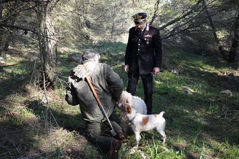 raccolta funghi