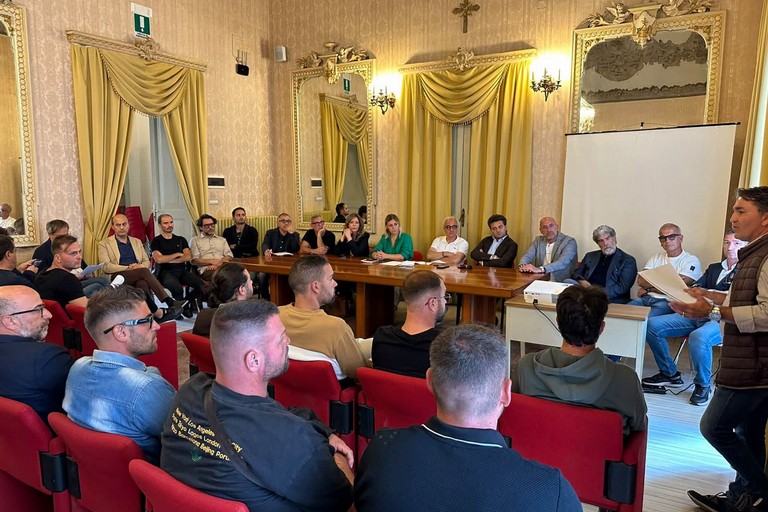 Crisi dell'olivicoltura