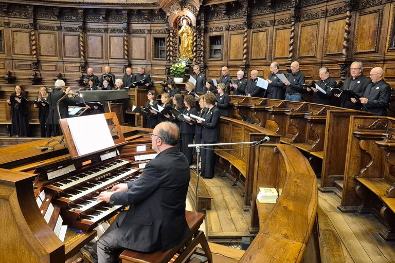 Coale Cantatore ad Assisi
