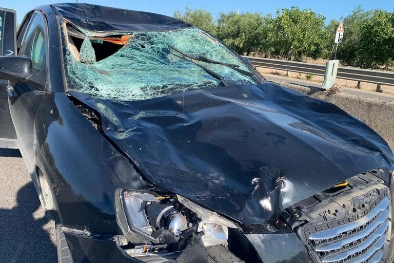 Ciclisti morti a Terlizzi. L'avvocato Petruzzella: «È una tragedia per tutti»