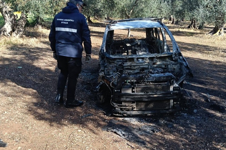 Auto cannibalizzata
