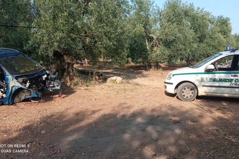 Auto rubate