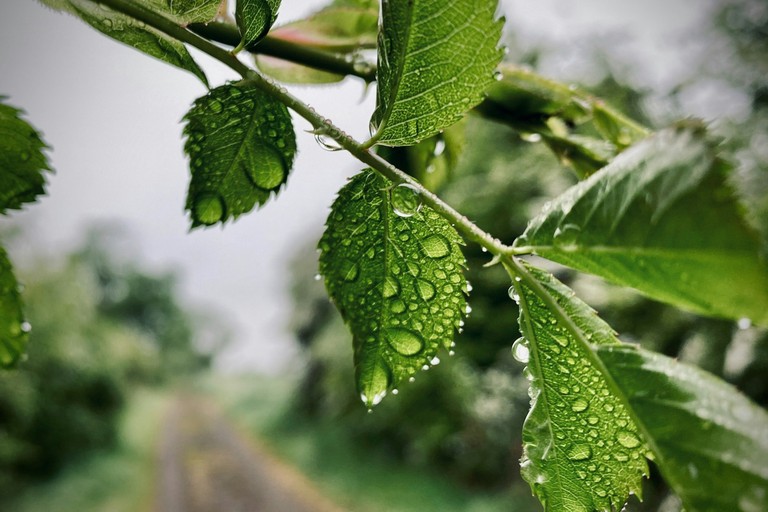 Pioggia in campagna