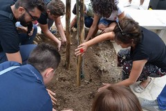 "Natole rete alla Capeccièine"