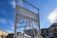 Sagra del Fungo Cardoncello a Ruvo di Puglia, il programma completo a partire da domani