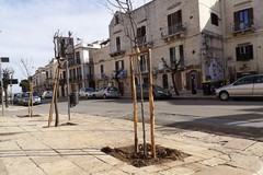 Un cuore verde per Ruvo grazie ad associazioni e cittadini