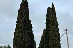 Allerta meteo arancione a Ruvo: chiusi tutti gli spazi comunali