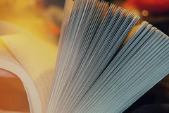 Acquisizione del Fondo Bratta alla Biblioteca Testini di Ruvo di Puglia: stamattina la cerimonia