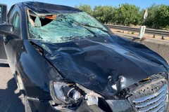 Ciclisti morti a Terlizzi. L'avvocato Petruzzella: «È una tragedia per tutti»