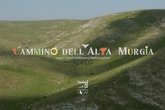 Parco Nazionale dell'Alta Murgia, a Pasqua torna il Cammino di 4 giorni tra jazzi e boschi