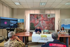 Tutelare l'Alta Murgia: impegno sinergico per la Campagna Antincendio Boschivo 2024