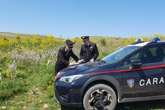 Rinvenute tre scocche d'auto al confine fra Corato e Ruvo di Puglia