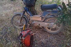 Ruvo, trovato un ciclomotore rubato nel 1994 a Pozzo Carrante. L'intervento delle Guardie Campestri
